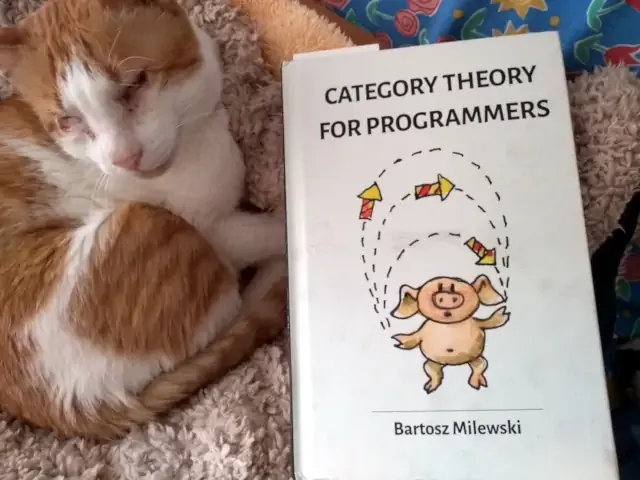 my cat and the book